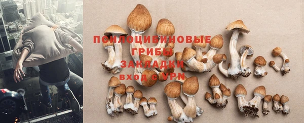 шишки Козловка