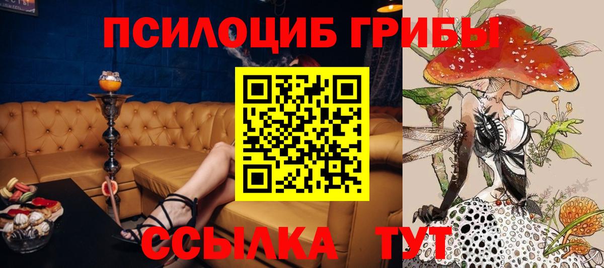 Псилоцибиновые грибы Psilocybe Чайковский