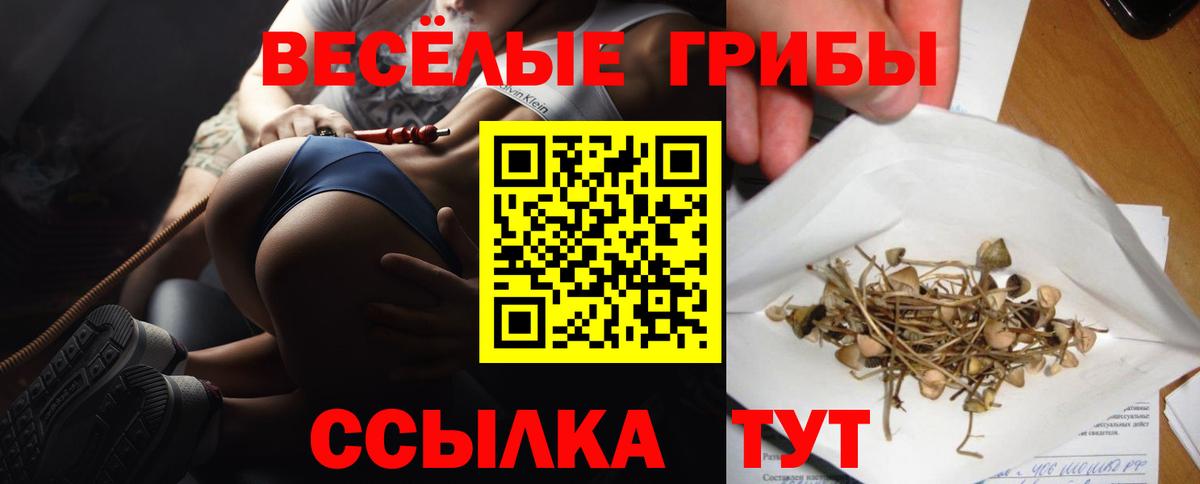 Галлюциногенные грибы Cubensis  Вход с VPN  Чайковский 