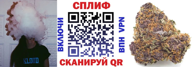 Канабис гибрид Чайковский